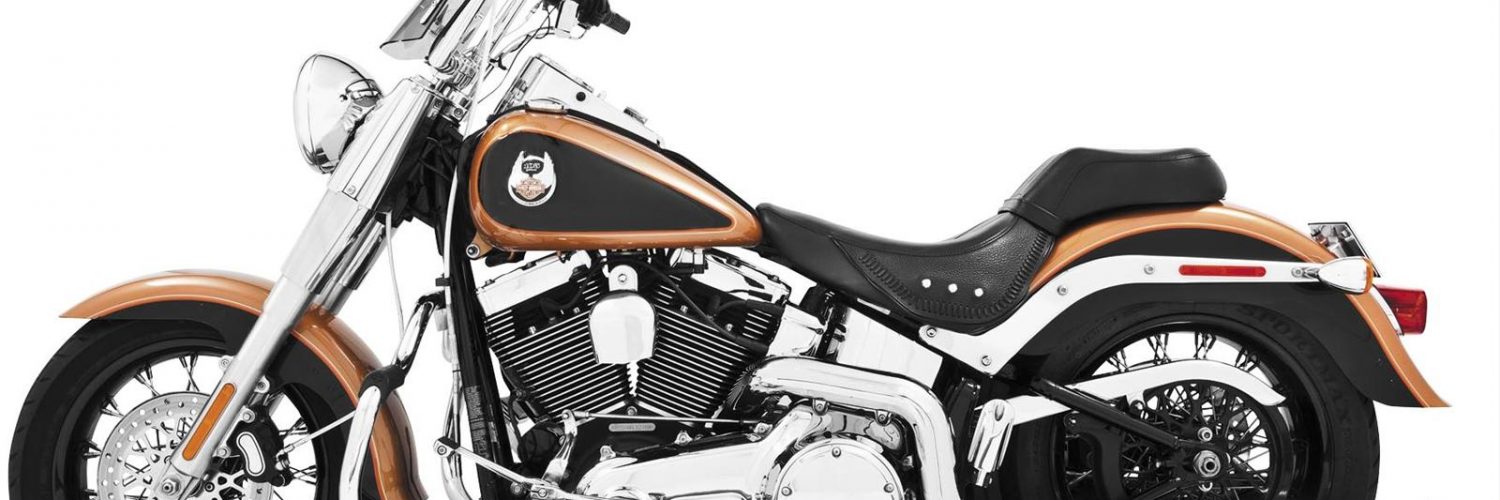 Best True Dual Exhaust For Harley