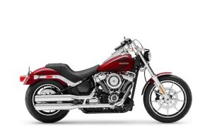 Oil for Harley Davidson Cruiser